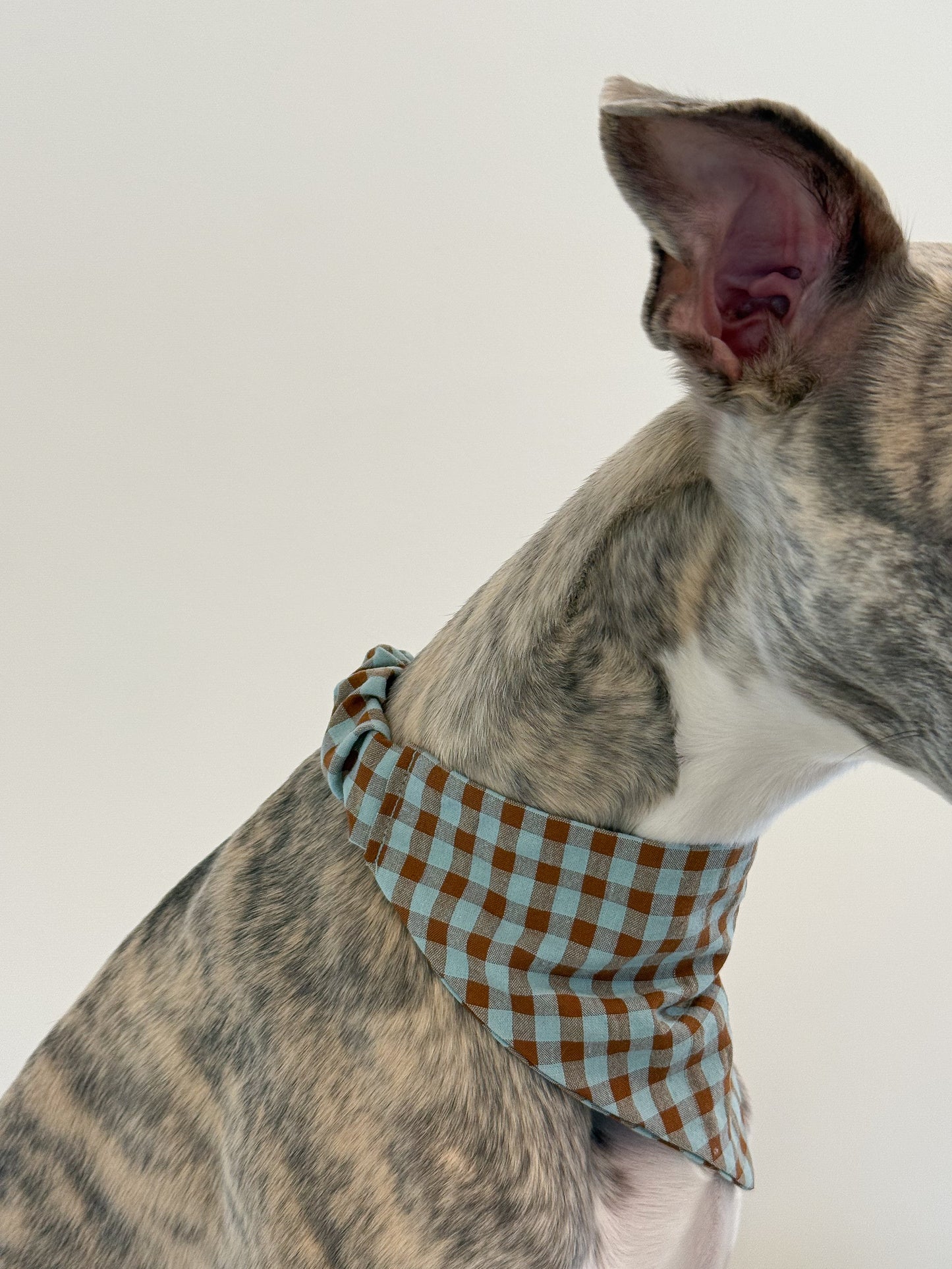 Festive Slip-On Bandana (mint praline)