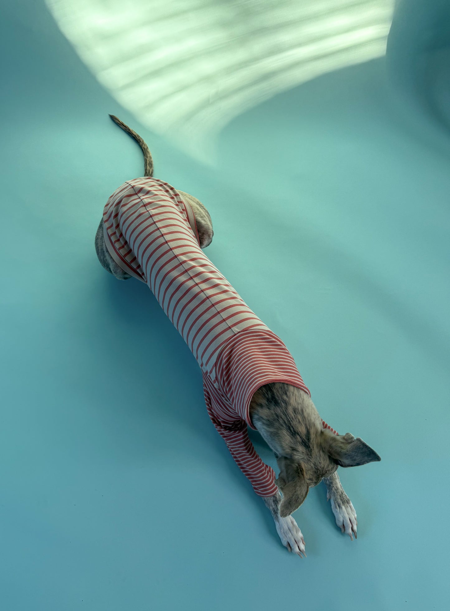 High-Neck Jersey Jumper Red Stripes