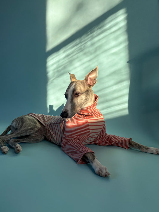 High-Neck Jersey Jumper Red Stripes