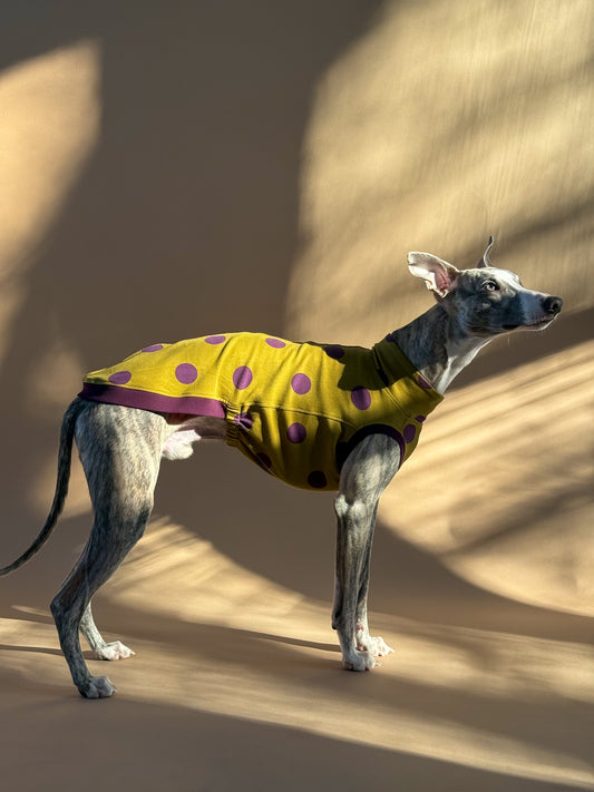 Sleeveless Whippet Shirt Pistachio