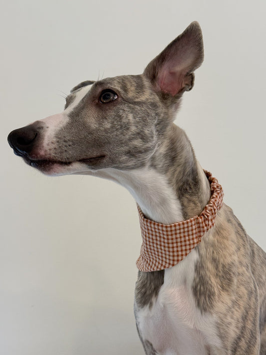 Festive Slip-On Bandana (warm toffee)