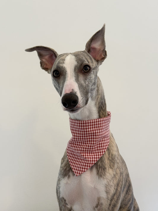 Festive Slip-On Bandana (red and white)