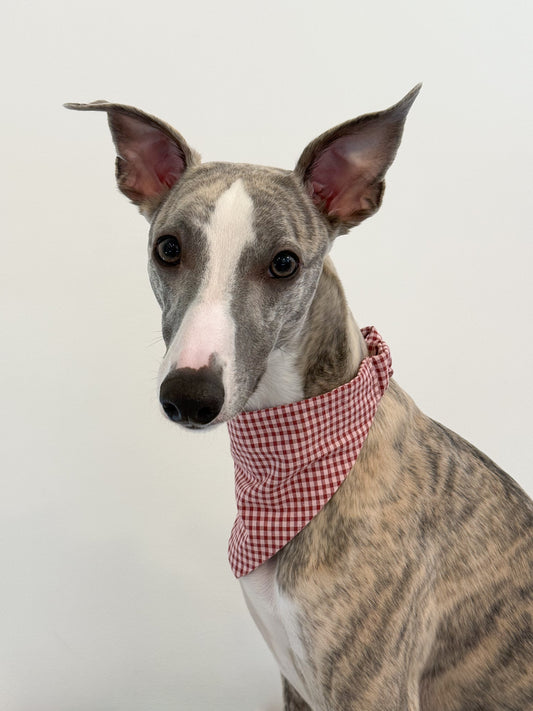 Festive Slip-On Bandana (red and white)