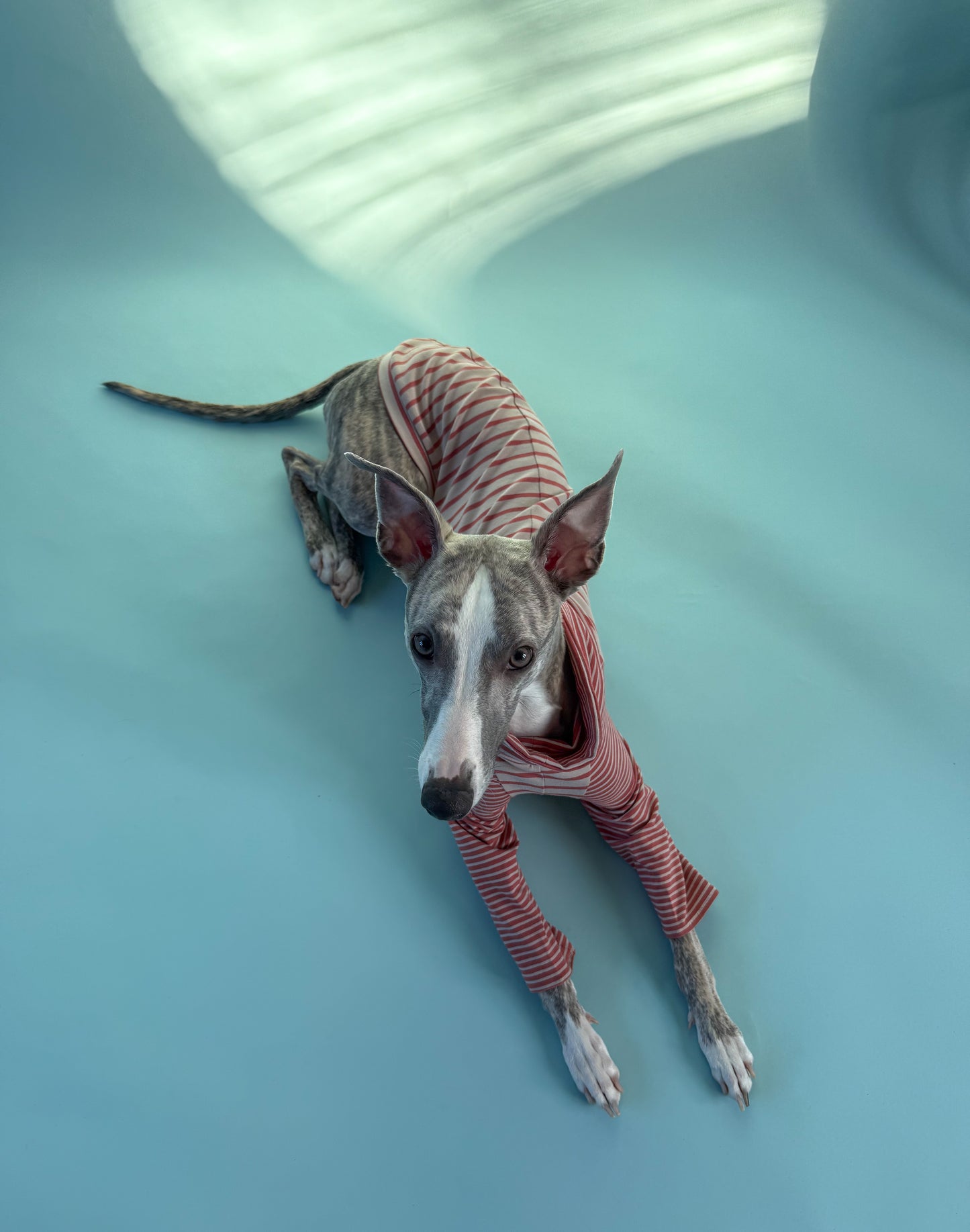 High-Neck Jersey Jumper Red Stripes