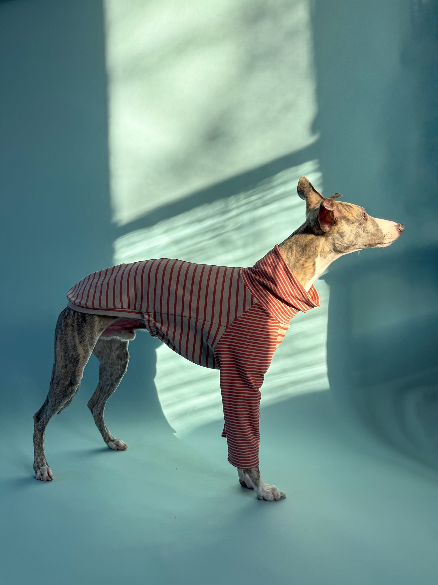 High-Neck Jersey Jumper Red Stripes