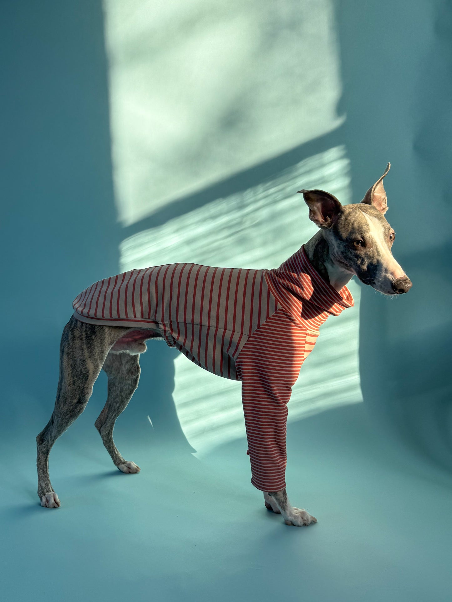 High-Neck Jersey Jumper Red Stripes