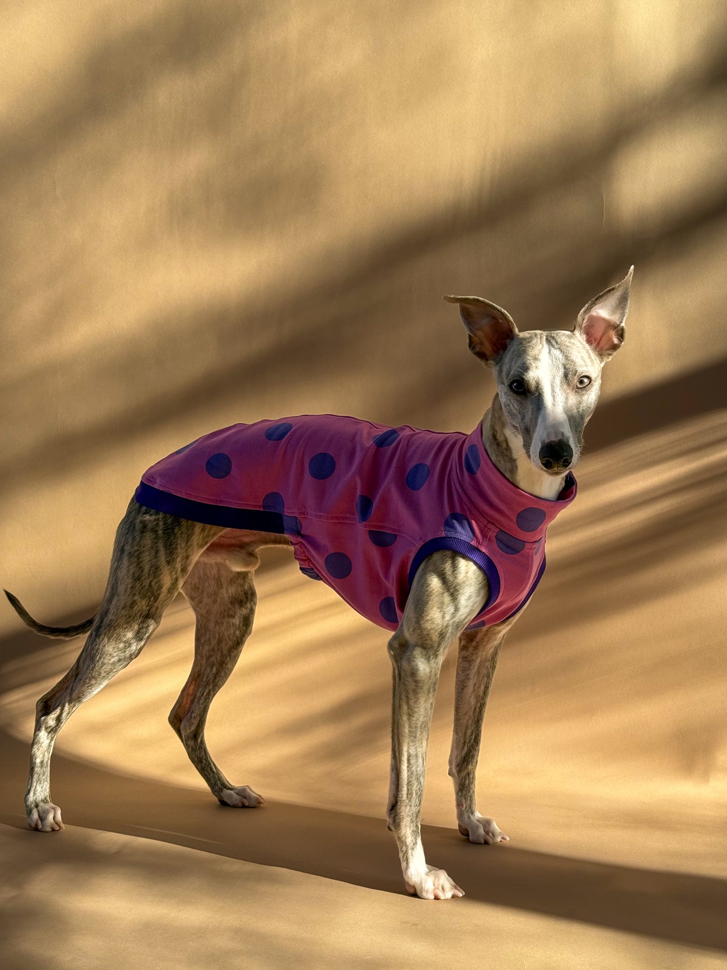 Sleeveless Whippet Shirt Pink