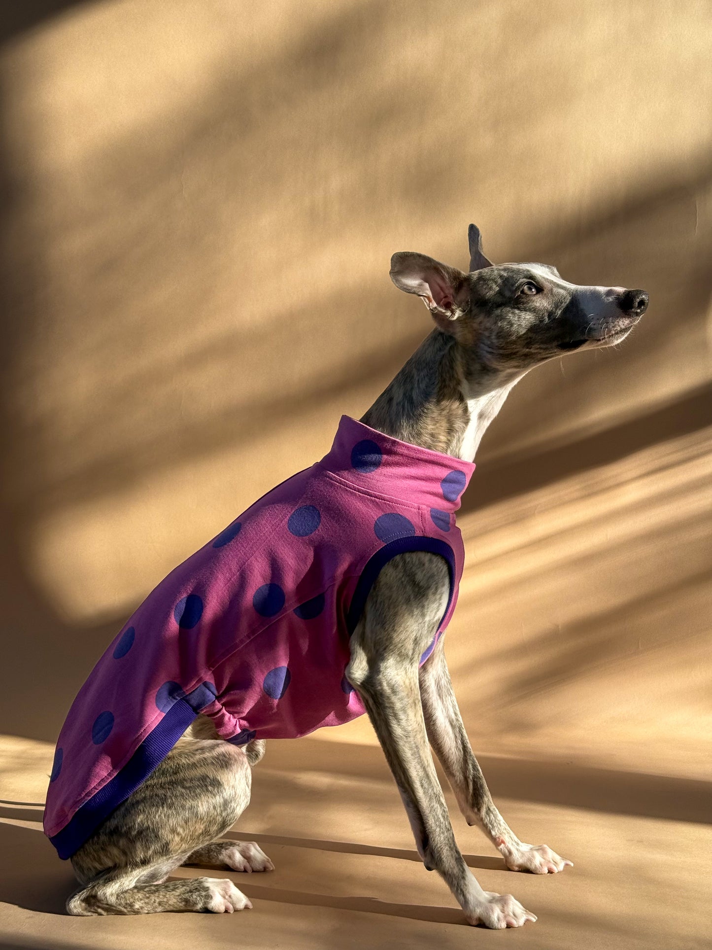 Sleeveless Whippet Shirt Pink