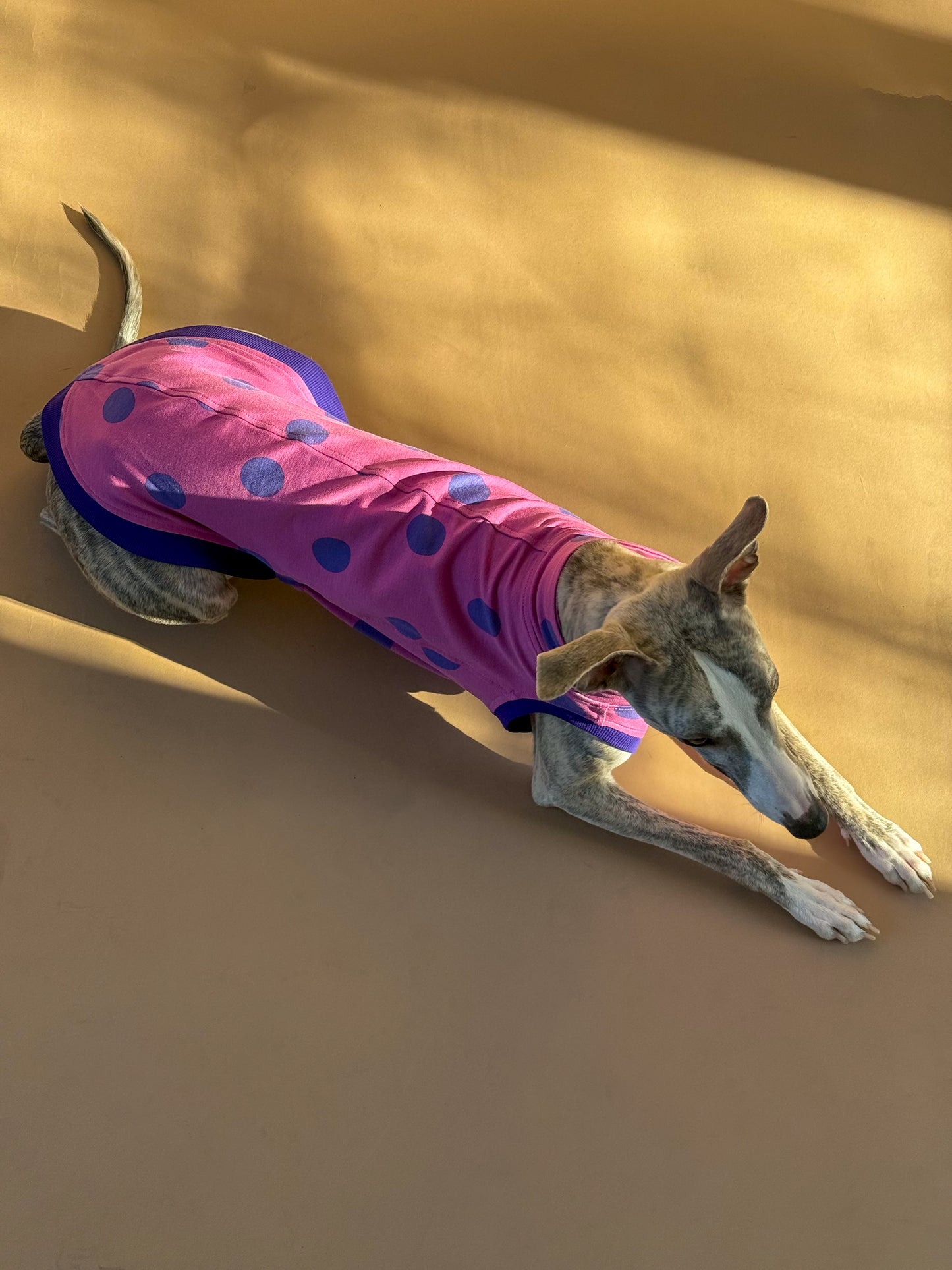 Sleeveless Whippet Shirt Pink