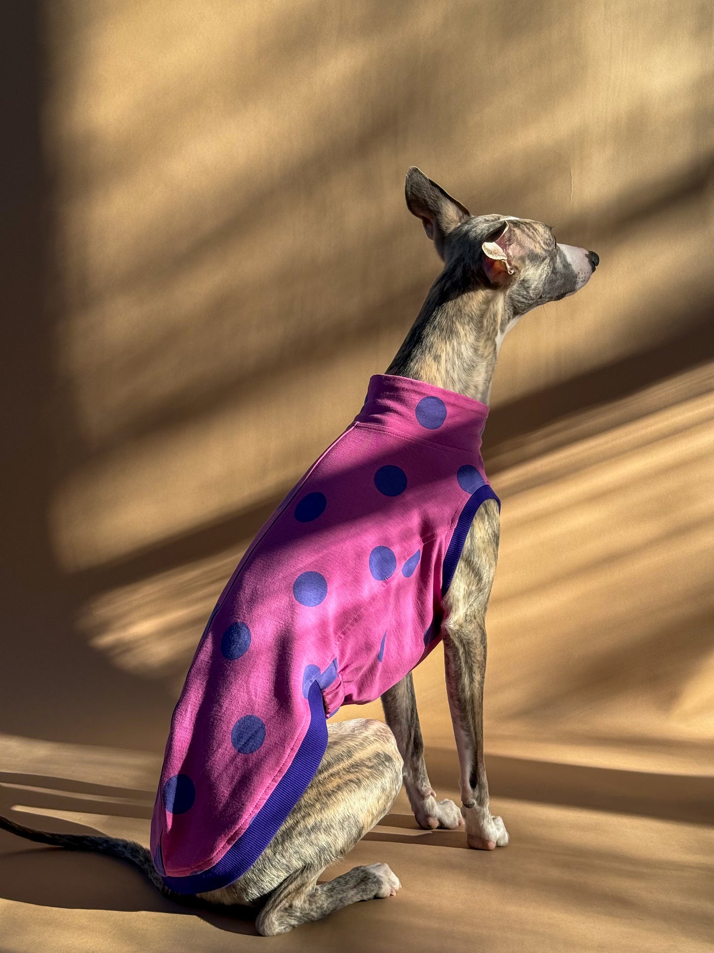 Sleeveless Whippet Shirt Pink