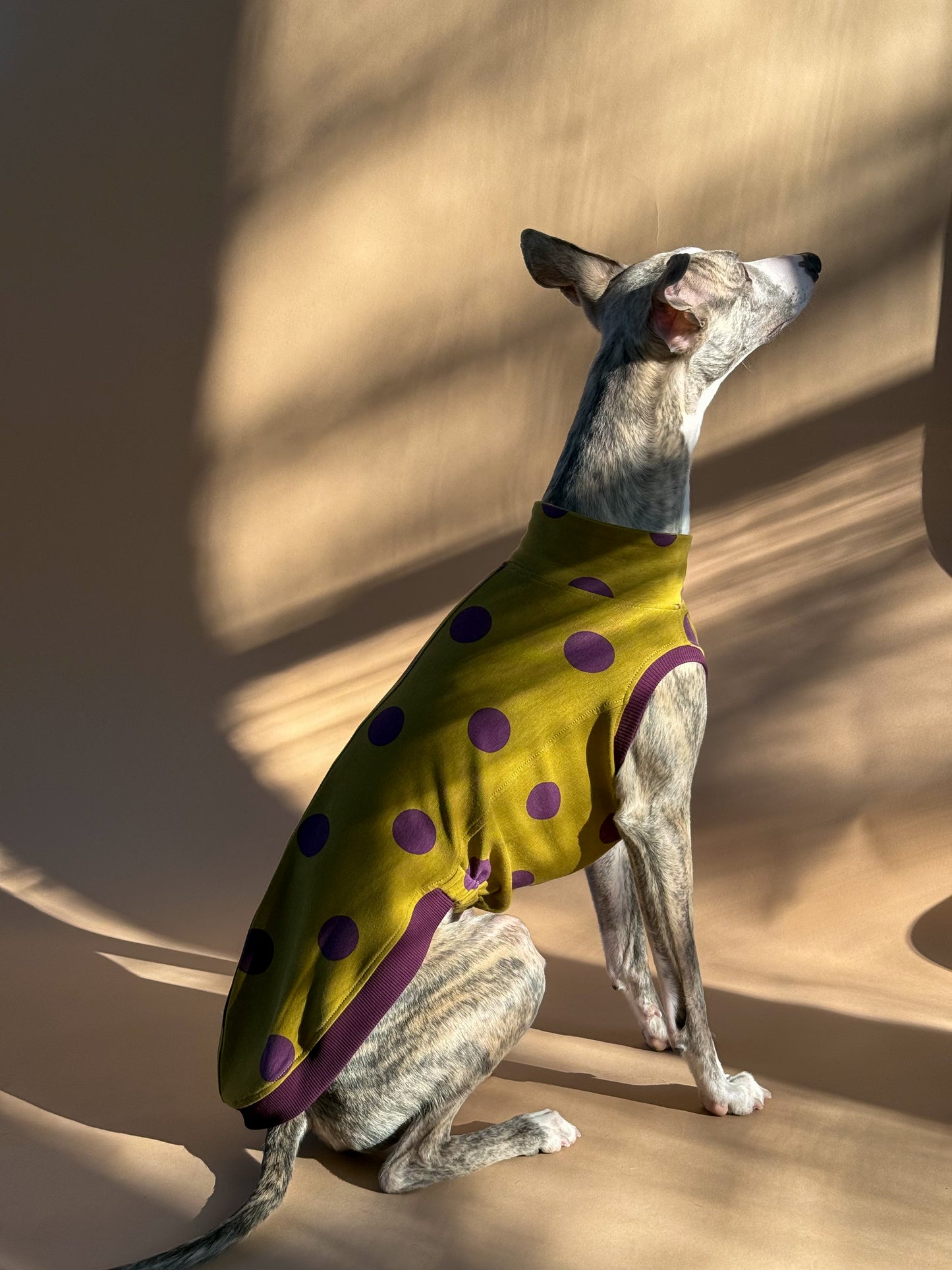 Sleeveless Whippet Shirt Pistachio