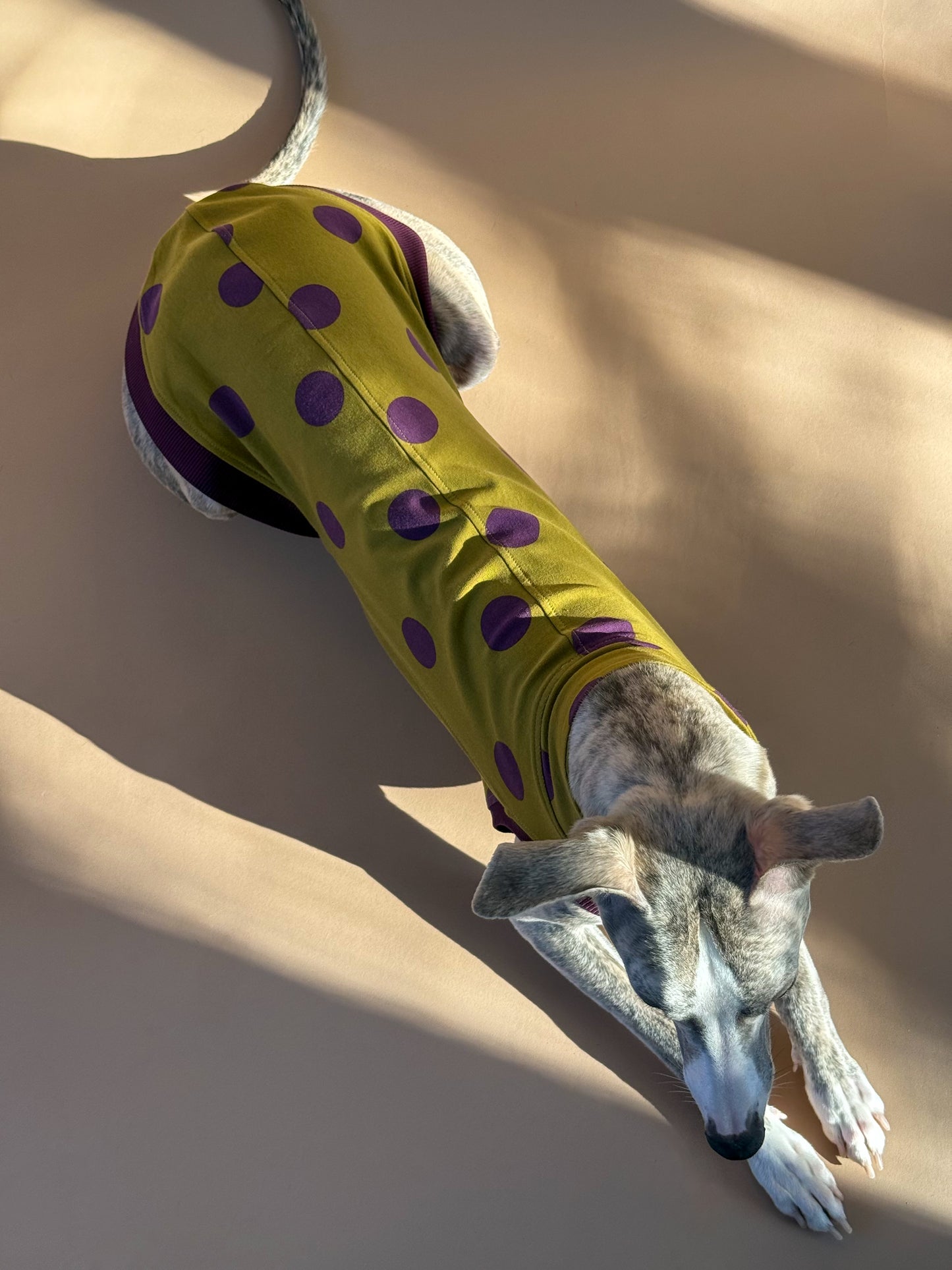 Sleeveless Whippet Shirt Pistachio