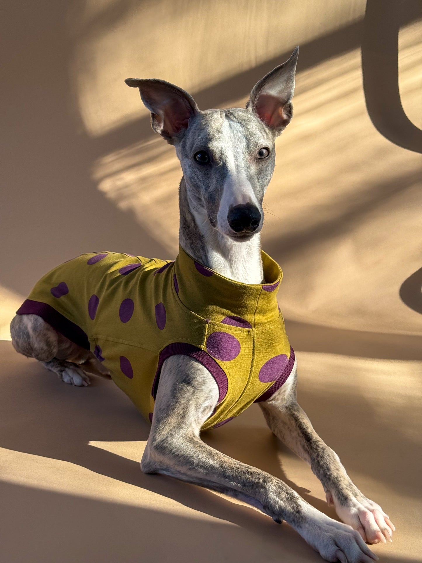 Sleeveless Whippet Shirt Pistachio