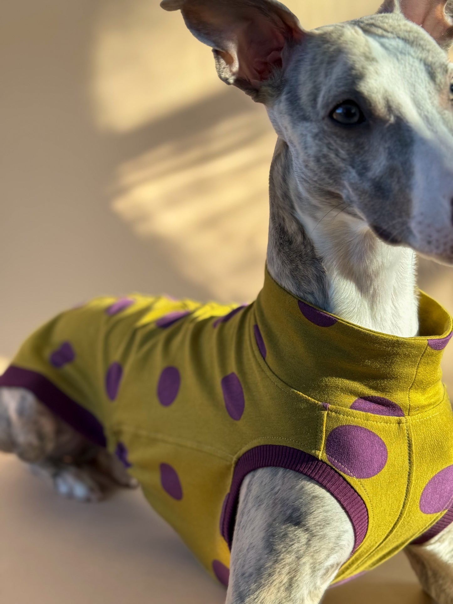 Sleeveless Whippet Shirt Pistachio