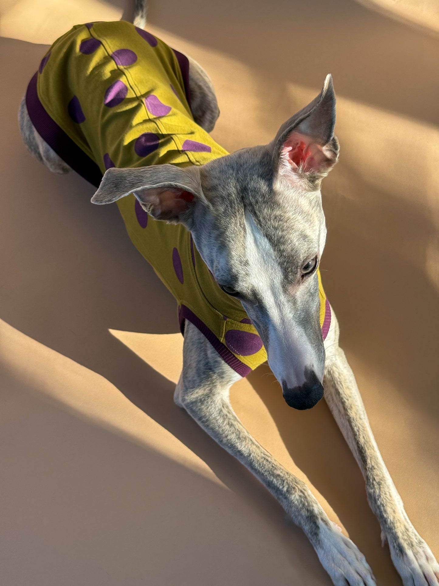 Sleeveless Whippet Shirt Pistachio