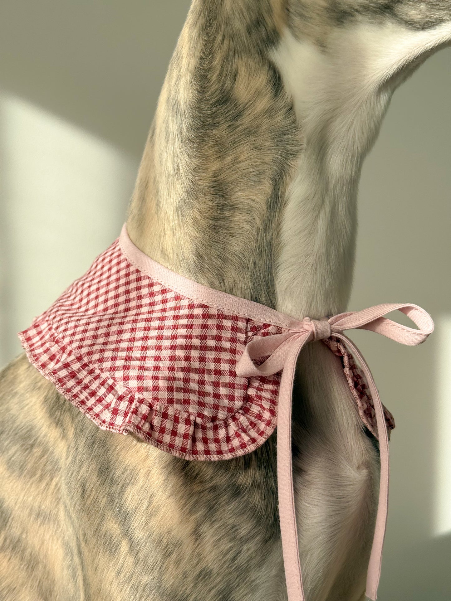 Ruffle Tie-On Accessory (red and white)