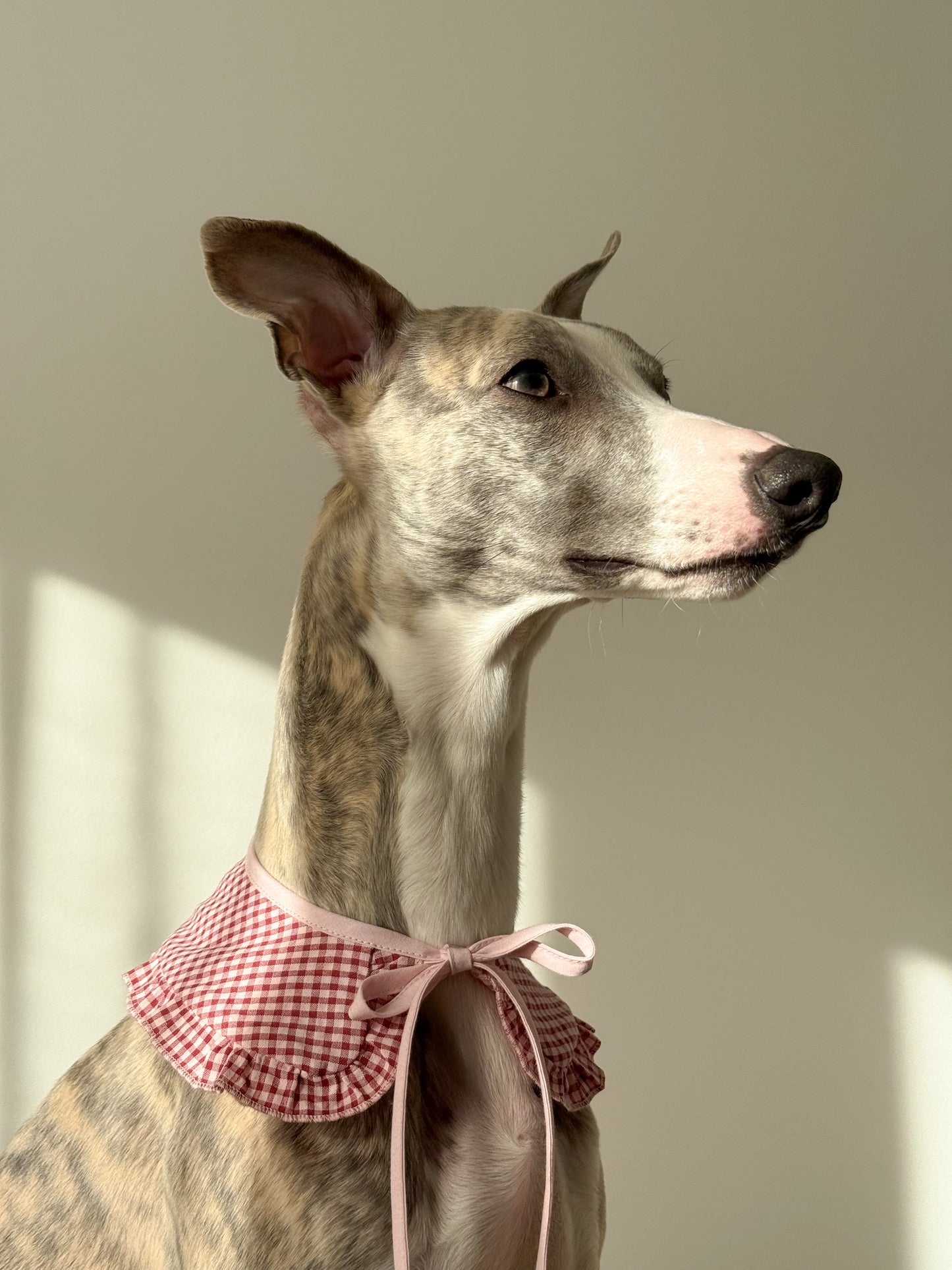 Ruffle Tie-On Accessory (red and white)