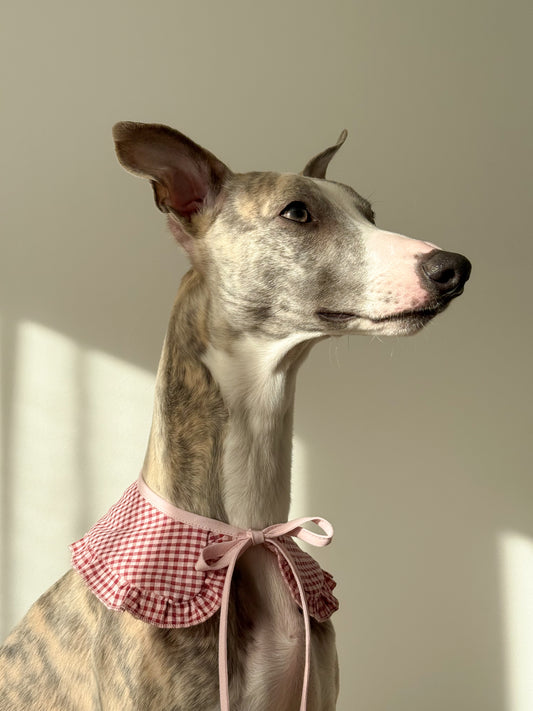 Ruffle Tie-On Accessory (red and white)