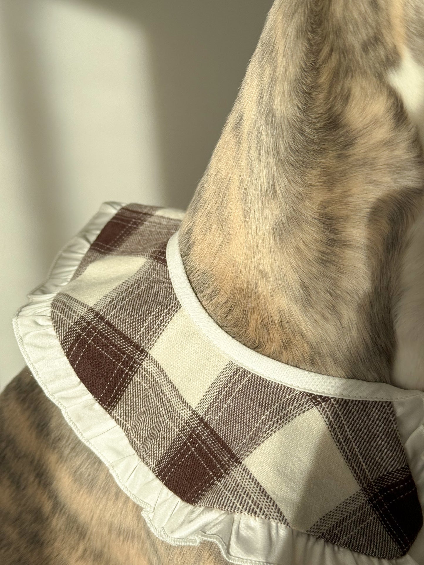 Ruffle Tie-On Accessory (checkered milk)