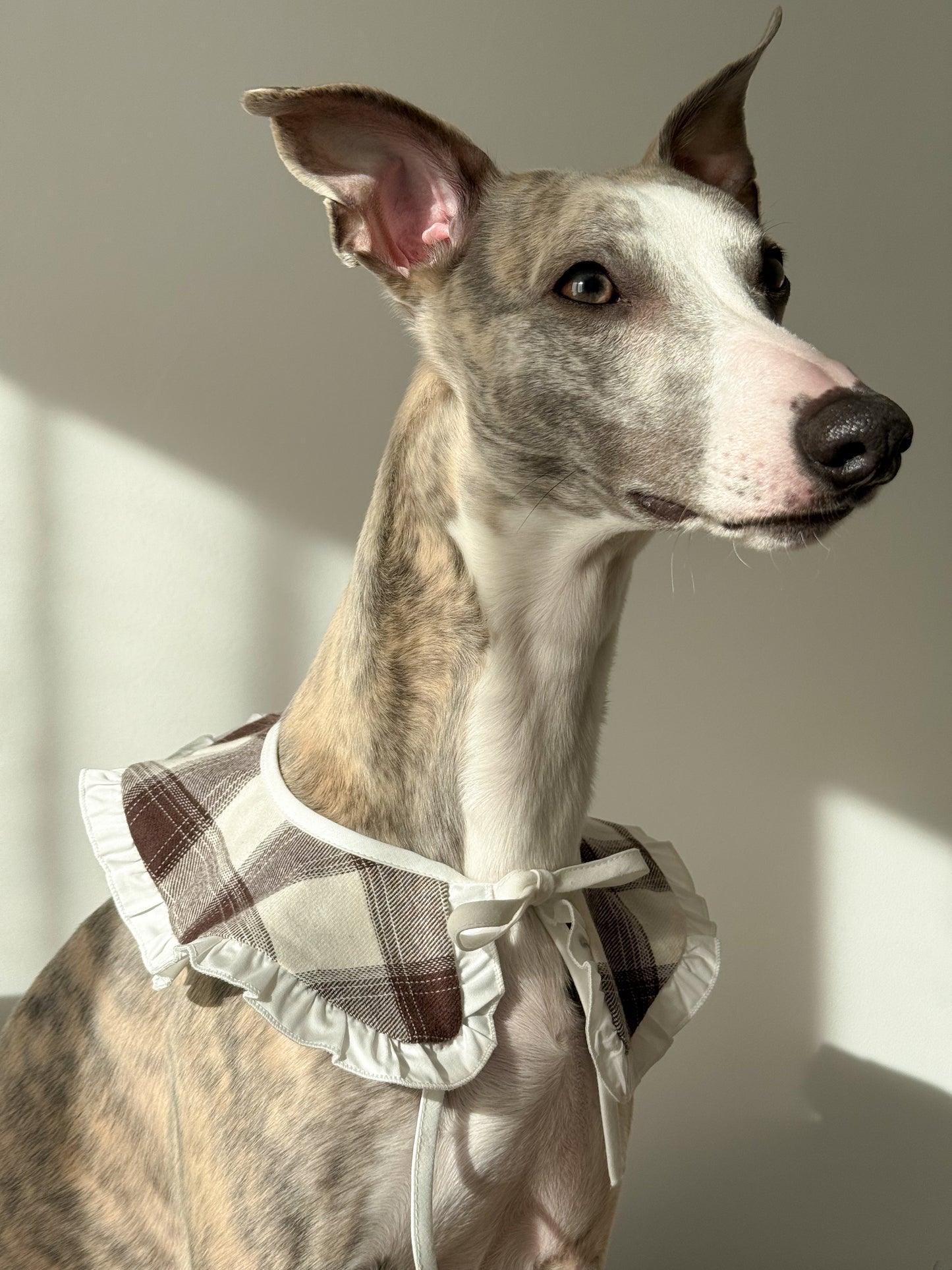 Ruffle Tie-On Accessory (checkered milk)