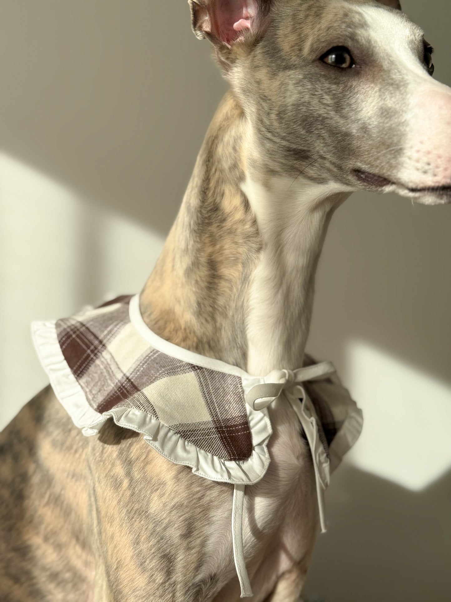 Ruffle Tie-On Accessory (checkered milk)