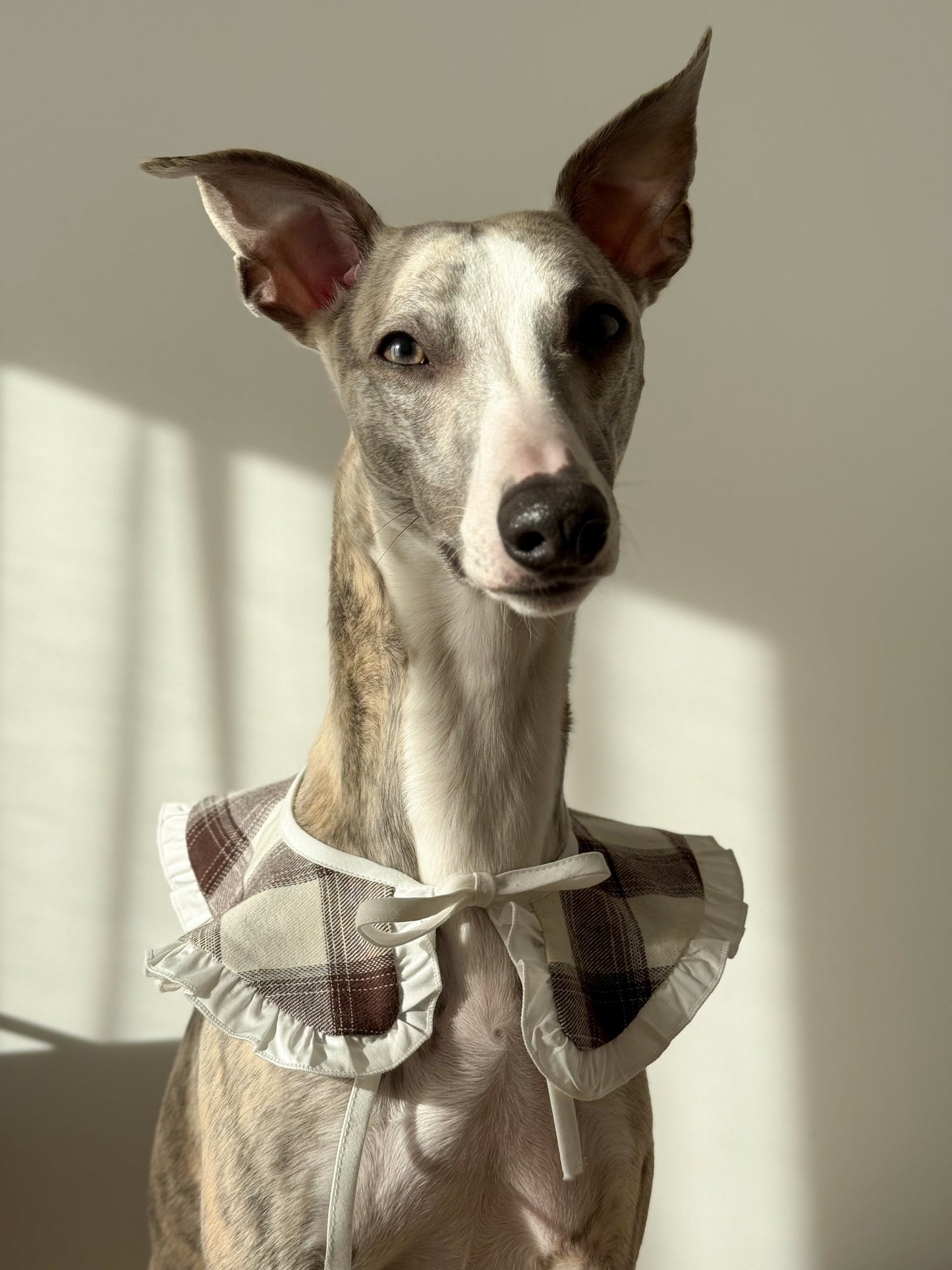 Ruffle Tie-On Accessory (checkered milk)